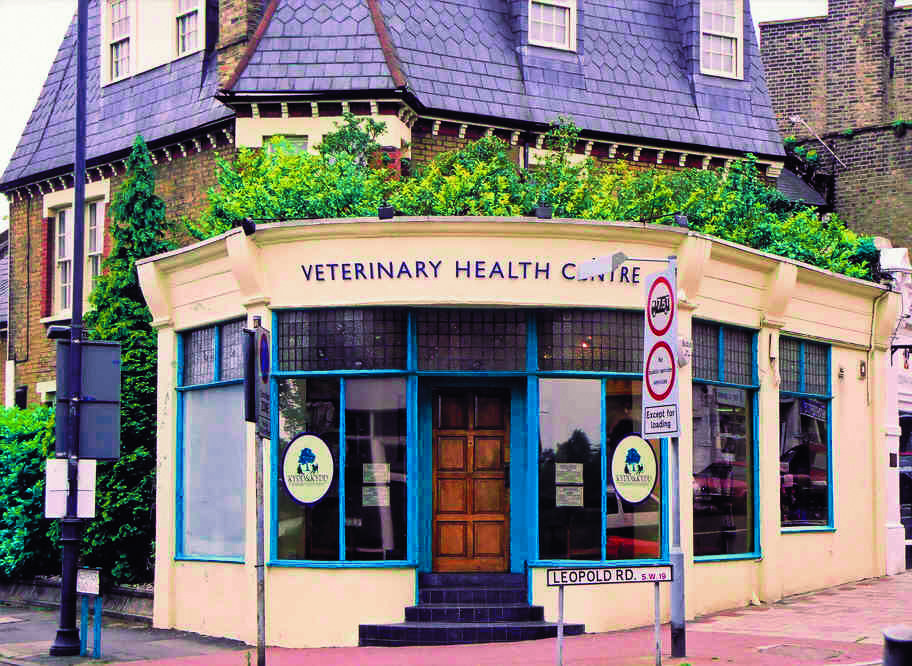 Medivet Wimbledon - Kydd & Kydd Vets - Very Important Pets
