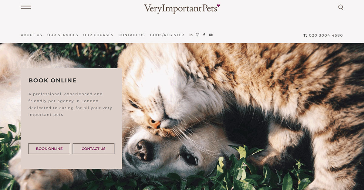 Very shop important pets